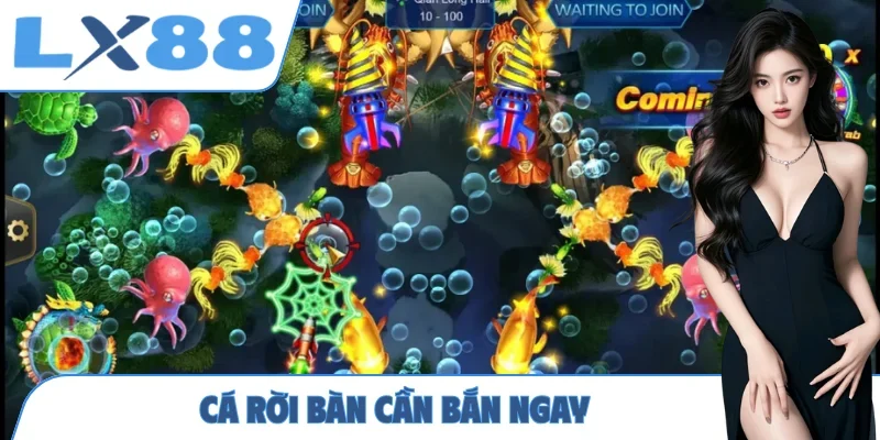 Cá rời bàn cần bắn ngay