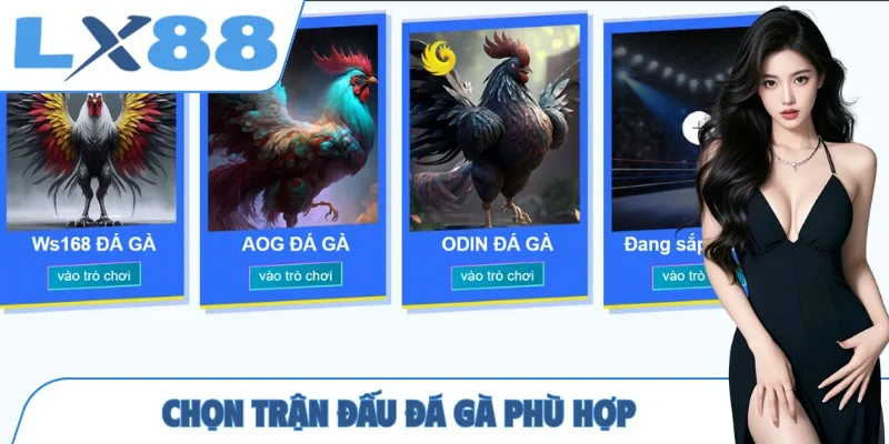 Chọn trận đấu đá gà phù hợp