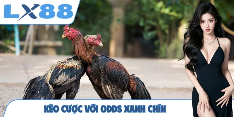 Kèo cược với odds xanh chín